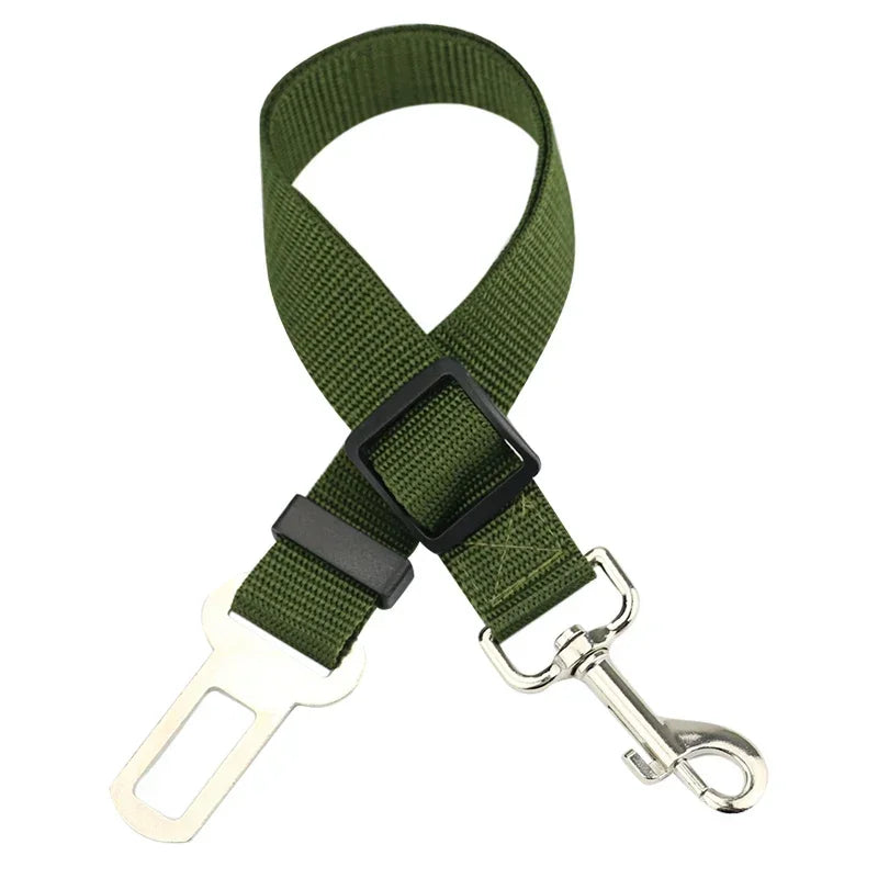 Cinto TravelPet – PetBem