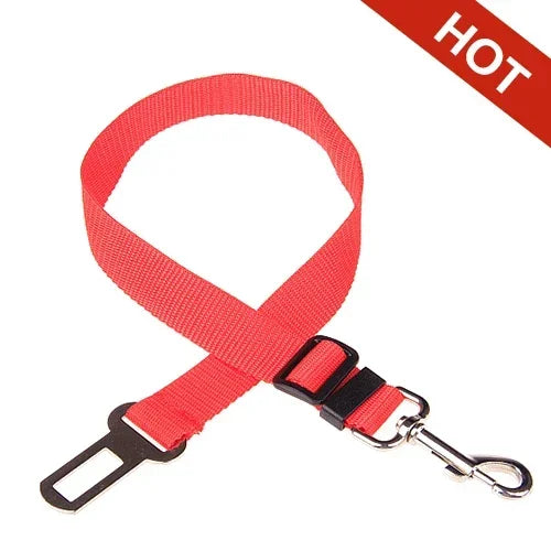 Cinto TravelPet – PetBem