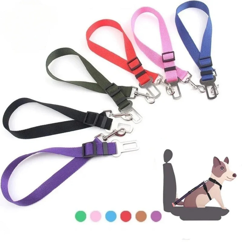 Cinto TravelPet – PetBem