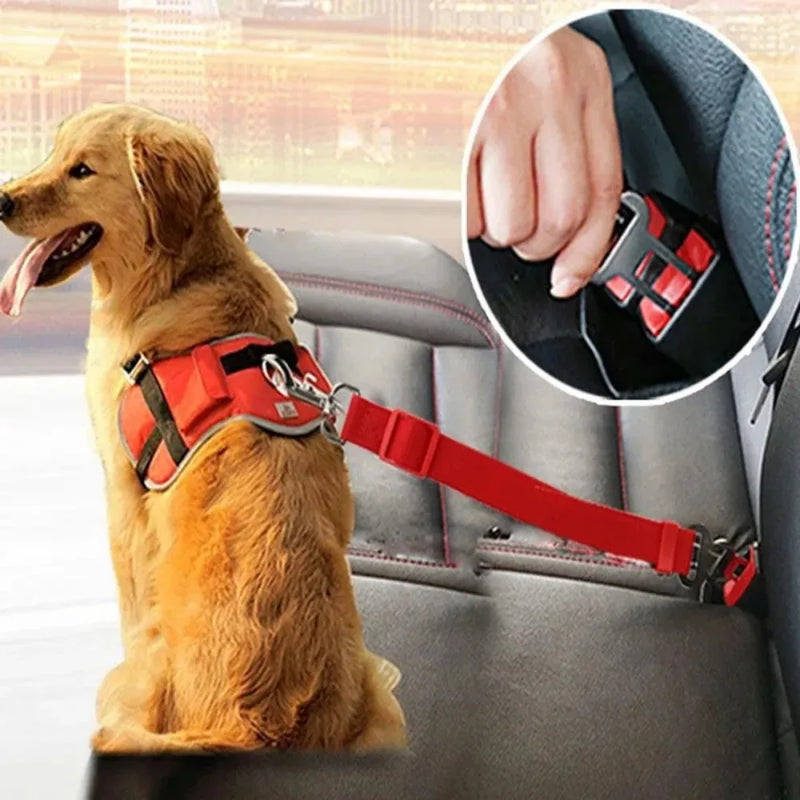 Cinto TravelPet – PetBem