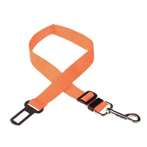 Cinto TravelPet – PetBem